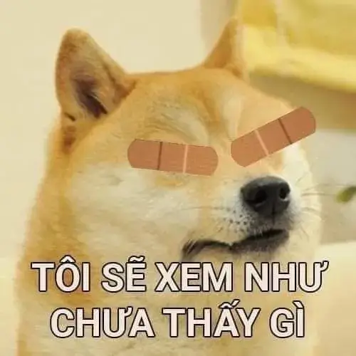 61