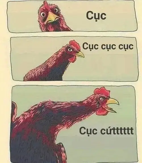 91