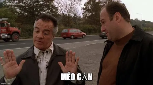 87