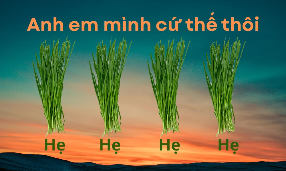 Trend "Anh em mình cứ thế thôi, hẹ hẹ hẹ" bắt nguồn từ đâu mà viral trên MXH?