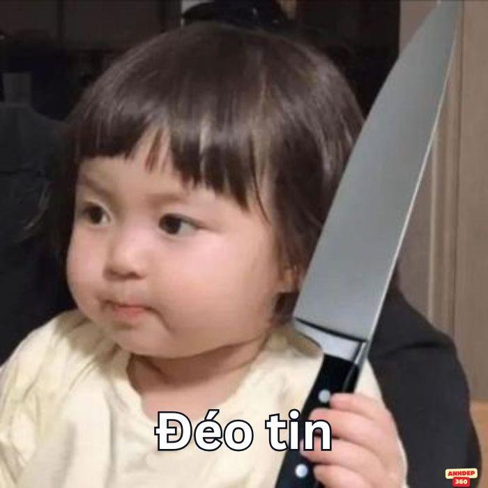 ảnh meme đéo tin chế hài hước