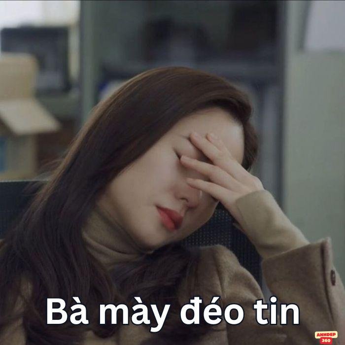 ảnh meme đéo tin chế hài