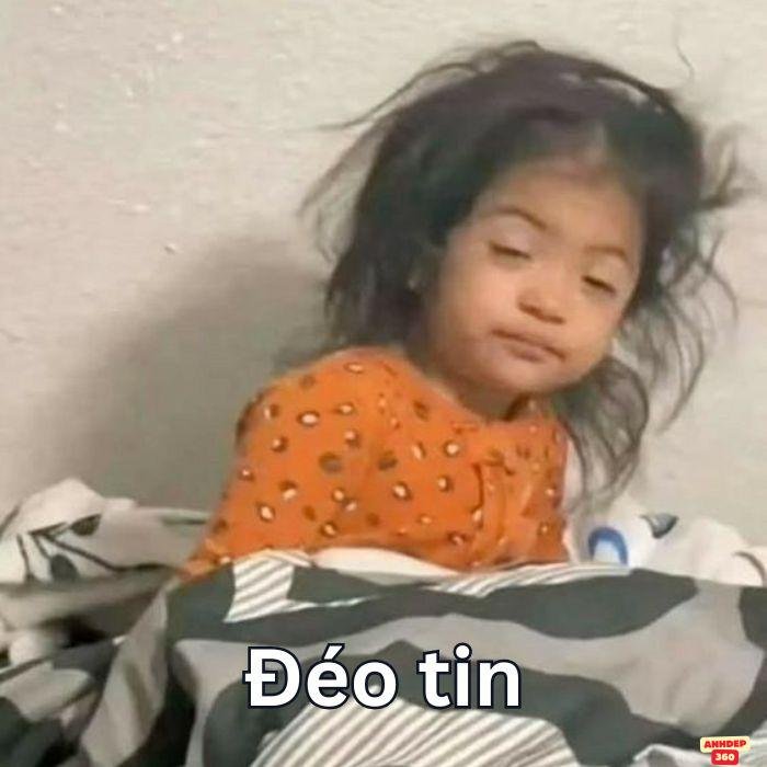ảnh meme đéo tin cực hài