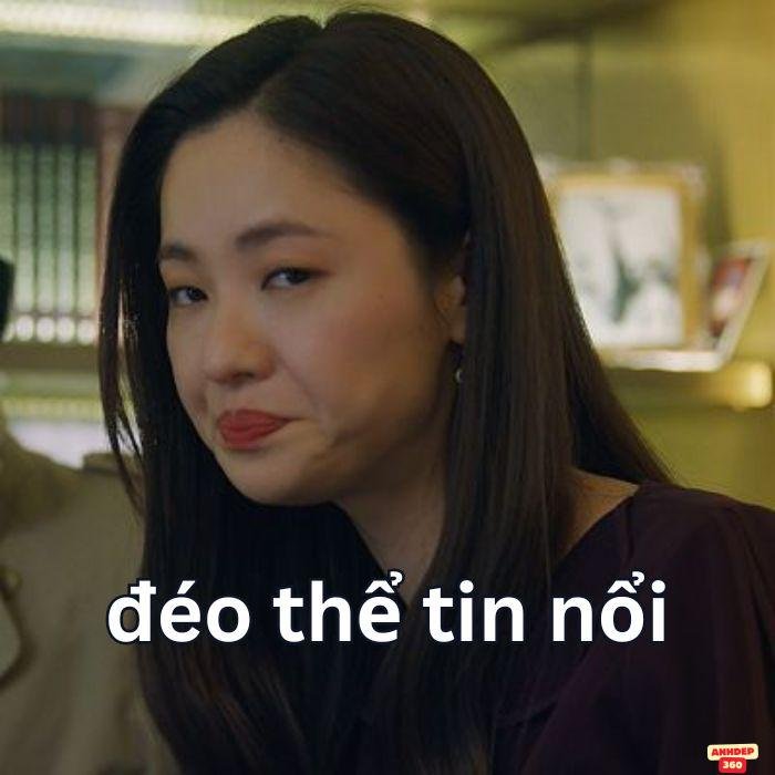ảnh meme đéo tin hài độc
