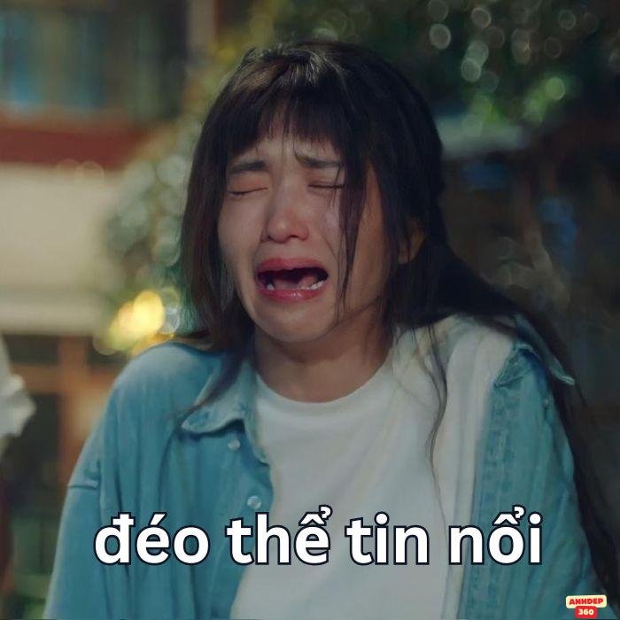 ảnh meme đéo tin hài nhất