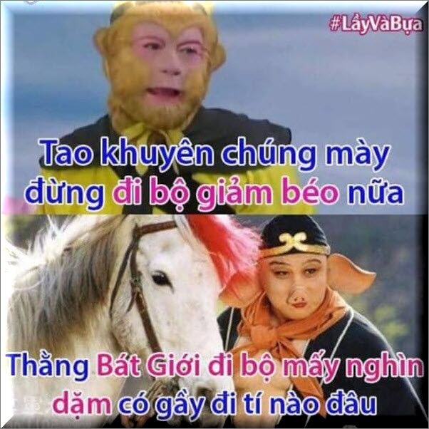 anh-meme-duong-tang-hai-huoc (21)