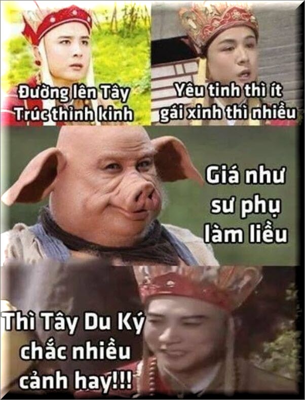 anh-meme-duong-tang-hai-huoc (5)