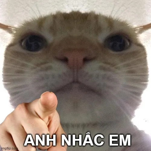 Top 45 ảnh Anh Nhắc Em Meme pha trộn giữa cảnh báo, trêu chọc và hài hước