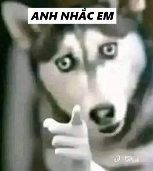 Ảnh chế ông chú nghiêm mặt nhưng nói câu viral.