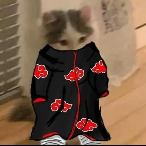 53