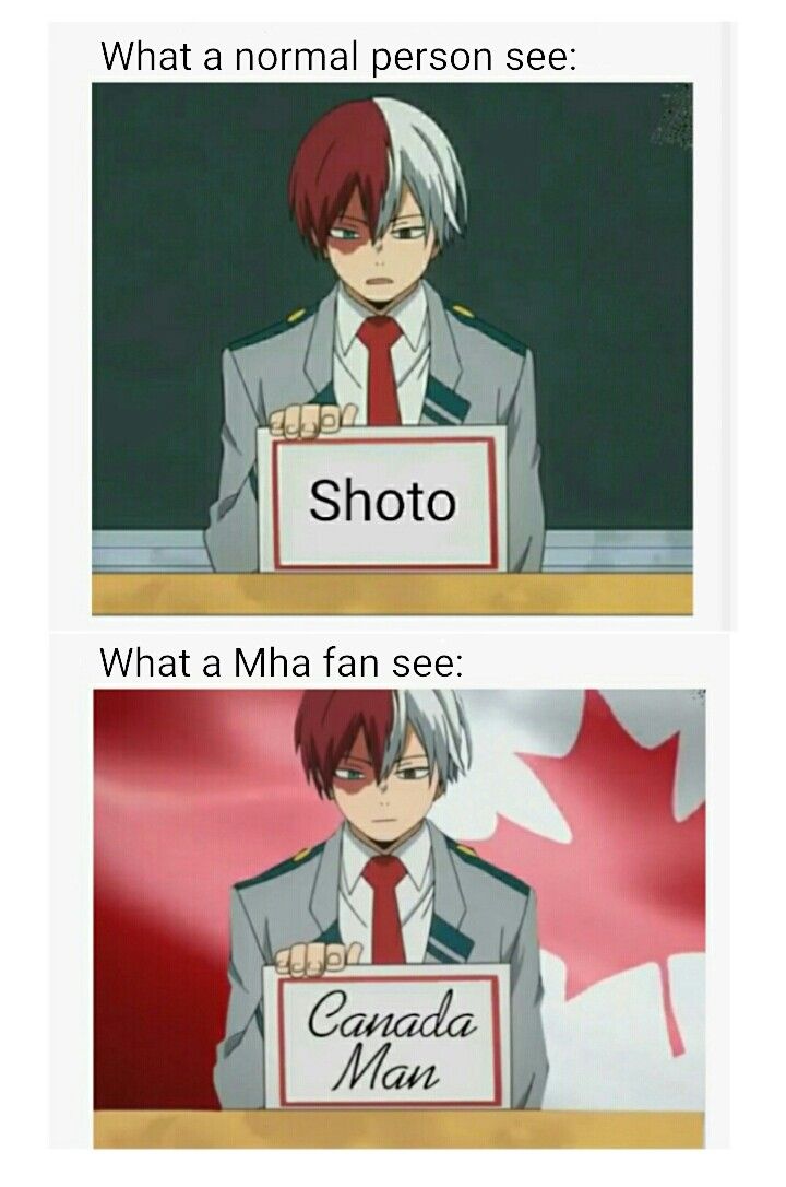 My Hero Academia Memes | Mha jokes, Todoroki funny, Boku no hero academia funny