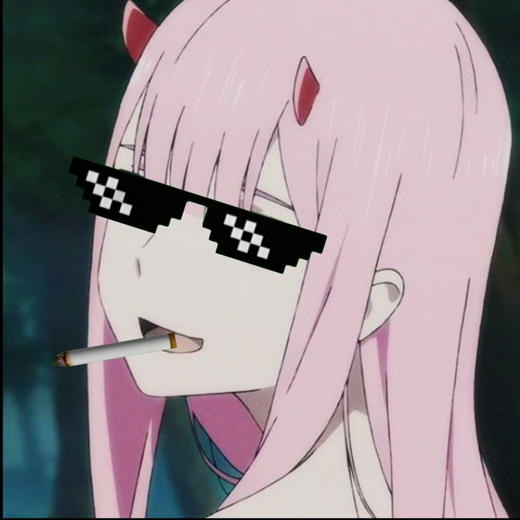 Zero Two Meme Image