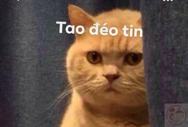 Bộ Meme Đéo Tin - Tin thế éo nào được (JVevermind)