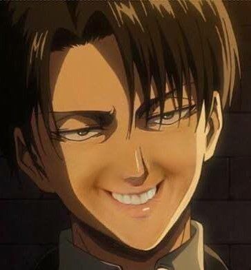 Funny Levi Ackerman Meme | Shinzou wo sasageyo, Animes, Capitão