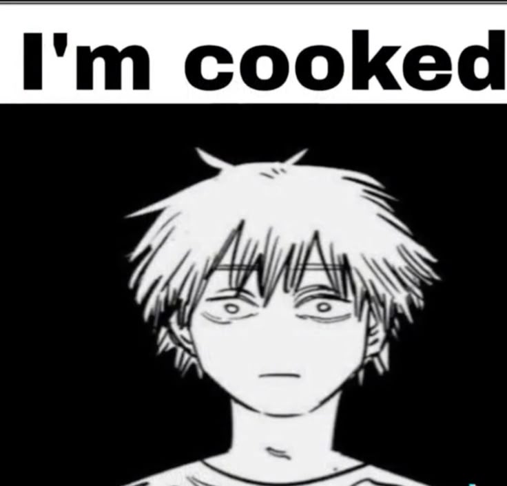 CSM meme