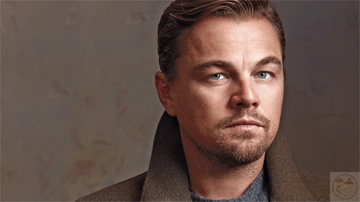 Leonardo DiCaprio Meme - Ảnh chế ông hoàng Hollywood
