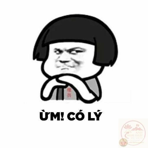 105+ meme đồng ý, gật đầu bá đạo, tán thành nhiệt tình