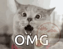 Omg meme dành cho hội chuyên gặp chuyện ngoài dự kiến