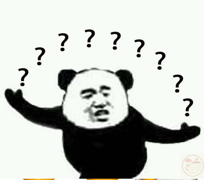 Meme hỏi chấm – Bộ ảnh chế question siêu hài hoang mang