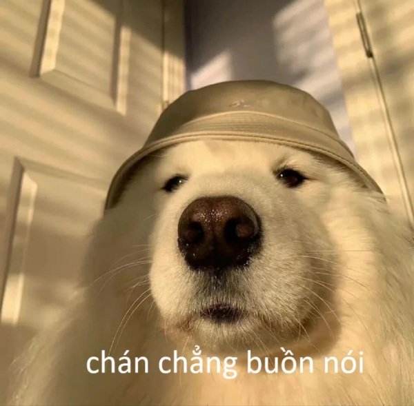 chán chẳng buồn nói meme