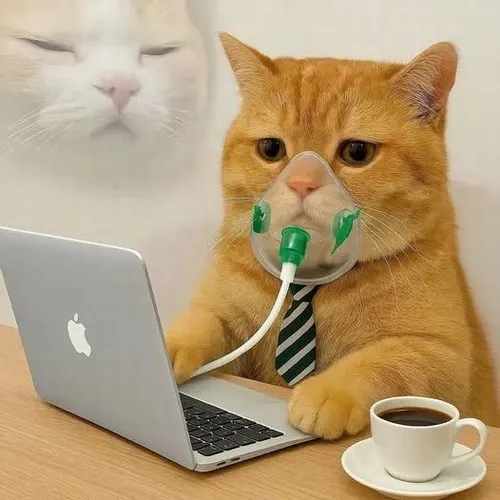Ảnh vui cả team nằm dài stress tập thể