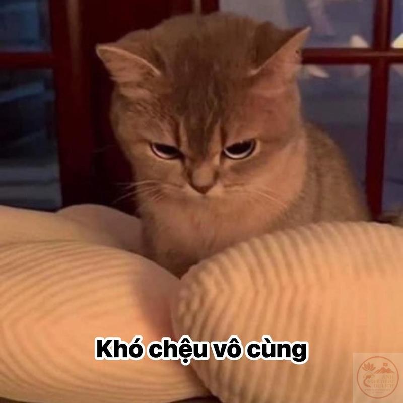 Full) Khó chịu vô cùng Meme - Ảnh chế khó chịu cực bựa