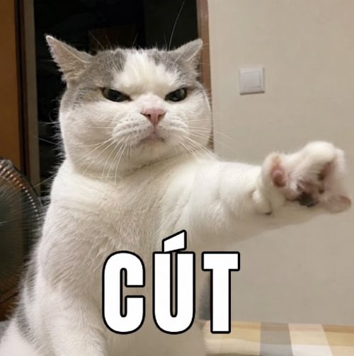 Cút meme – Bộ ảnh chế biến mẹ đi siêu hài hước nhất
