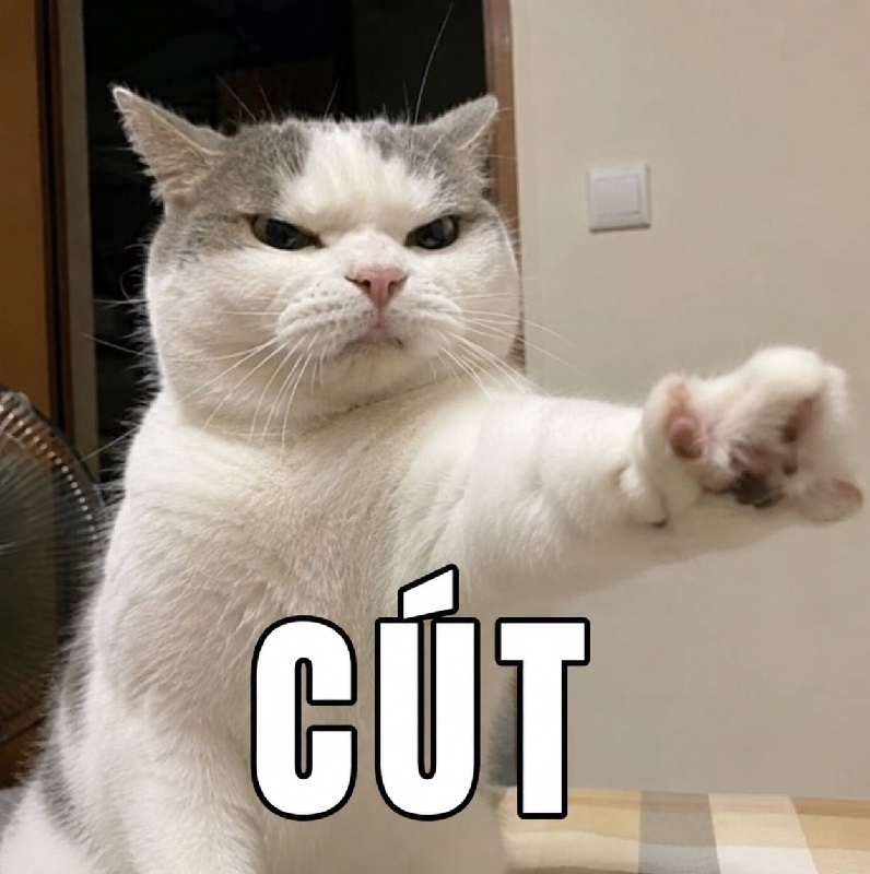 Cút meme – Bộ ảnh chế biến mẹ đi siêu hài hước nhất