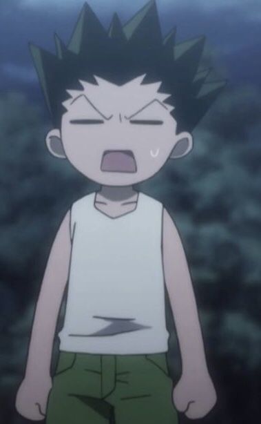 Gon front view | Gon disgusted face, Gon tree, Gon freccs