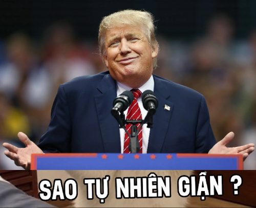 Donald Trump meme – Bộ ảnh chế siêu hài hước bá đạo