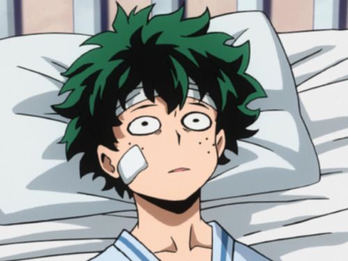 Midoriya izuku【Boku no Hero Academia】 | Bnha memes, Anime memes, Anime funny