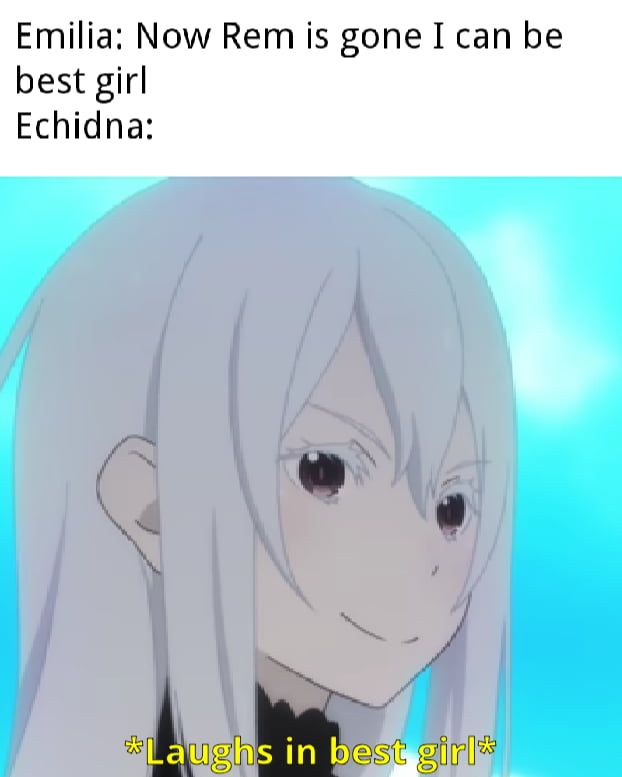 Sorry Emilia maybe season 3 - Anime & Manga | Emt re zero, Re zero fandom, Re zero funny