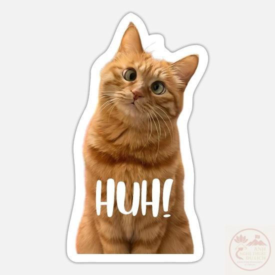 funny cross eyed cat meme huh fu