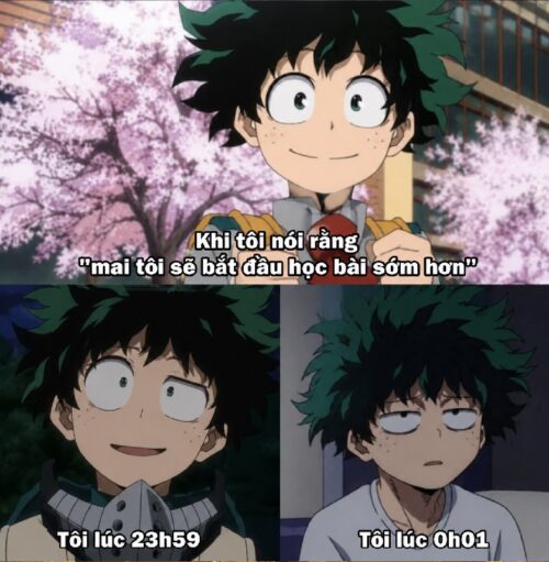 Meme Midoriya Izuku – Ảnh chế Deku khóc siêu hài hước