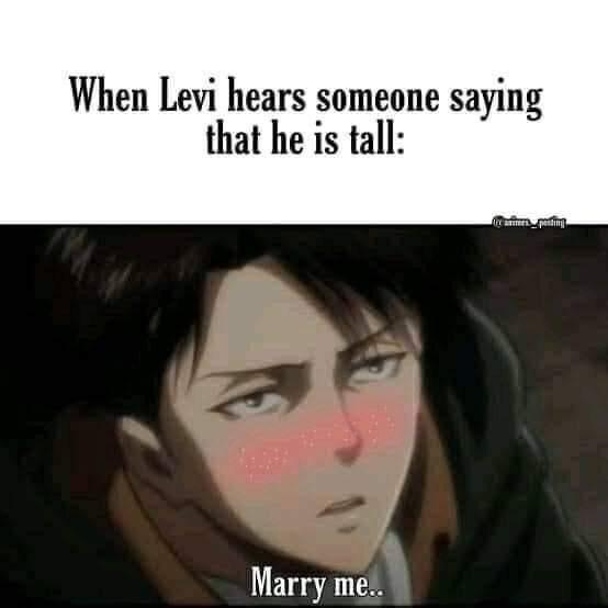 Muốn chia sẻ cái meme này tớ tìm được. Levi là một thằng simp : r/ShingekiNoKyojin