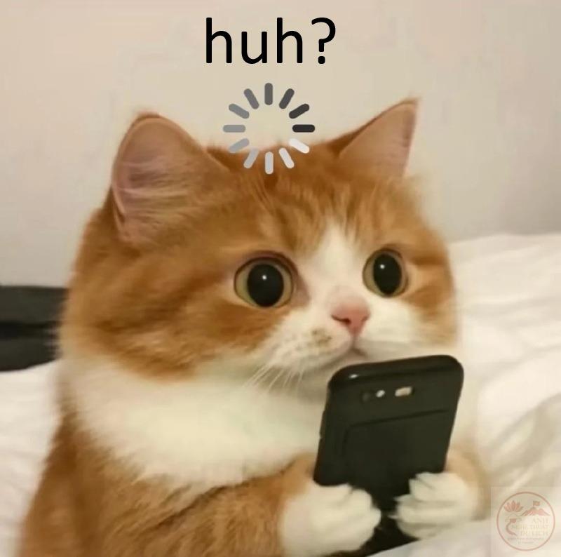 huh meme cat