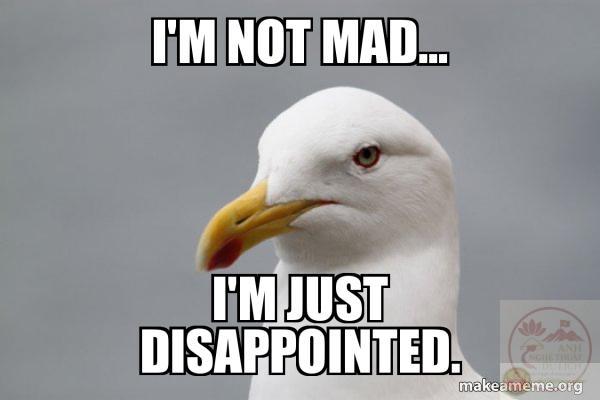 I'm not mad... I'm just disappointed. - Stuff That Didn't Happen Seagull Meme Generator