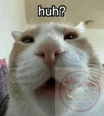 images 32