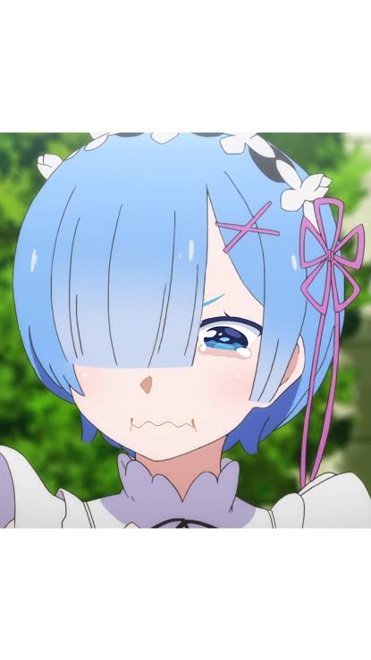 meme] I just finished this edit of Rem, what do you guys think? : r/Re_Zero