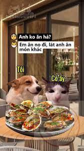 Meme Há Miệng Xin Ăn | TikTok