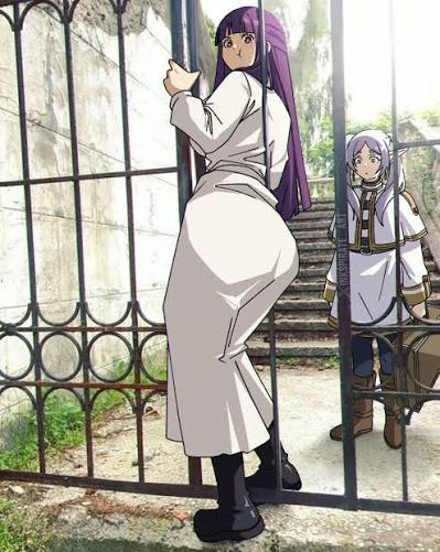 The fence is not Fern approved #manga #anime #animecouple #animememes #meme #komiexe #sousounofrieren #frieren