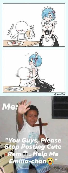 Opinions on Rem from Re:ZERO anime series
