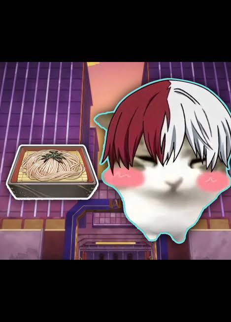 AWWW SHOTOO | #damdamdidi #shototodoroki #mha #trend #tween | cat dam dam dididi | TikTok