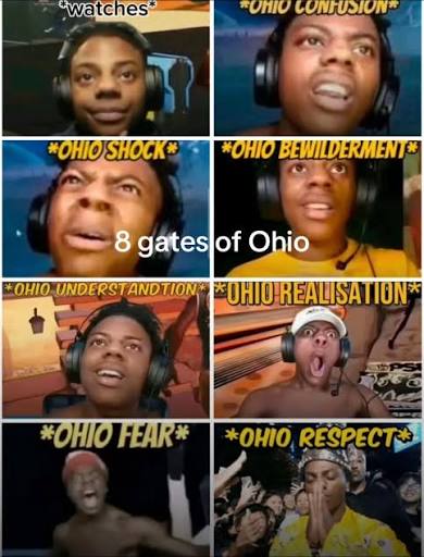 Ohio Confusion Meme | TikTok