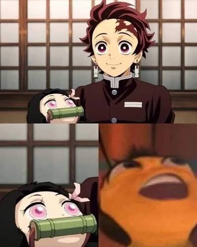 19 Hilarious Nezuko Memes That Prove She Must Be Protected At All Costs 👇