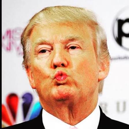 Donald Trump Memes (@donaldtrumpdoingthings) • Instagram photos and videos