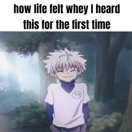 It was a good time 😍😭 • • Follow @zoldyckxofficial for more! ⚡ • • #hunterxhunter #anime #hxh #manga #killua #gon #naruto #hisoka #zoldyck #kurapika #onepiece #leorio #otaku #gonfreecs #chrollo #chrollolucilfer #illumi #