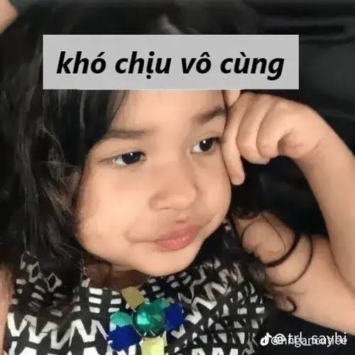 Top 75+ Meme Khó Chịu Vô Cùng ai cũng đồng cảm vì quá thật quá buồn cười