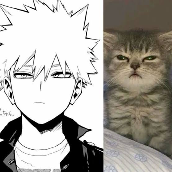 Bakugo Katsuki meme khiến mọi màn tức giận thêm hài hước.
