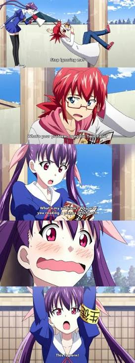 The reaction of a filthy casual when they see ecchi anime/manga - Meme by Lcdude :) Memedroid